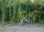 29012010415.jpg
