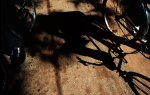 bicicuba7.jpg