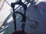 28012010_003.jpg