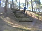 Bosque Verde_0002.jpg