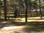 Bosque Verde_0007.jpg