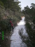 PICT0001.jpg