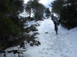DSC00872.jpg