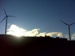 DSC00030.jpg