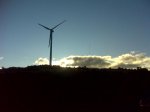 DSC00026.jpg