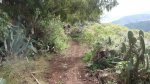 mtb-las palmas (58) (Medium).JPG