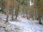 DSCN1144.JPG