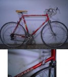 orbea sierra nevada.jpg
