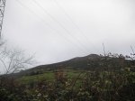 PICT0048.jpg
