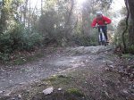 IMG_0067.JPG