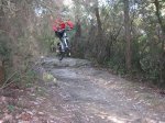 IMG_0066.JPG