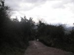 PICT0095.jpg