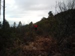 DSC00050.jpg