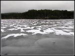 IMG_2127.jpg