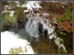 IMG_2109.jpg