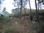 DSC00052.jpg