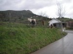 PICT0144.jpg