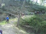 DSC00135.jpg