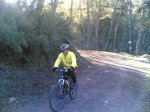 Bonita helada 31-01-2010 001.jpg