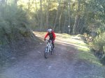 Bonita helada 31-01-2010 004.jpg