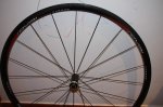 bici 003.jpg