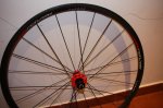 bici 006.jpg