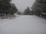 DSC03218.JPG