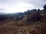 Foto22.JPG