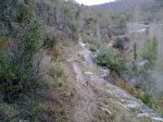 31012010203.jpg