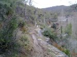 31012010205.jpg