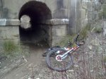 31012010209.jpg