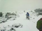 31012010157.jpg