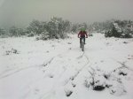 31012010158.jpg