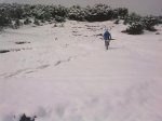 31012010163.jpg