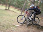 IMG_2631.jpg