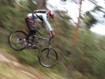 IMG_2625.jpg