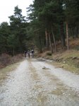 IMG_2627.jpg