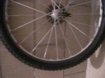 DSCN1310.jpg