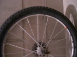 DSCN1309.jpg
