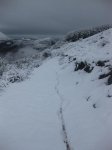31-1-2010 153.jpg