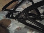 DSC00384.jpg