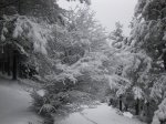 31-1-2010 155.jpg