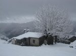 31-1-2010 159.jpg