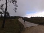 310120101654.jpg