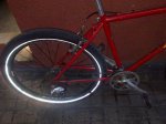 roja5 (Medium).jpg