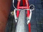 roja4 (Medium).jpg