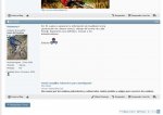 PuntuaciÃÂ³n compra-venta 2.jpg