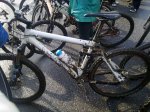 20100131_Rosq_Foto4.jpg