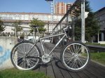 DSC06278.jpg
