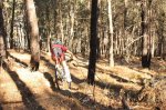 cerro enero 2010 188_resize.jpg